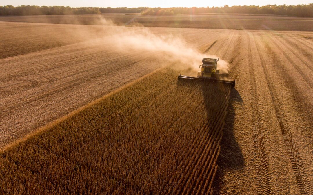 FARMS and AgLaunch Forge Partnership to Expand Farmer-Centric AgTech Innovation Platform