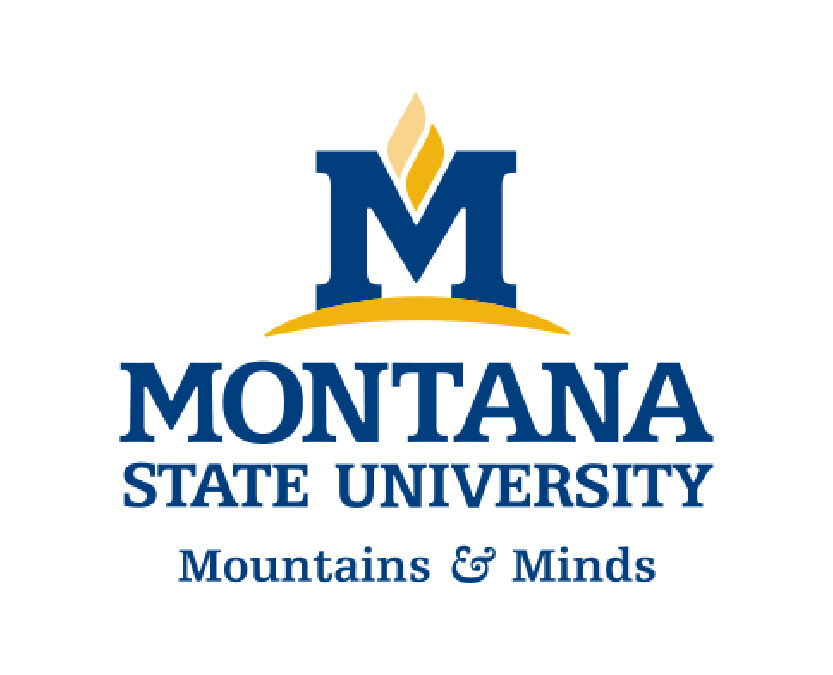 Montana State University