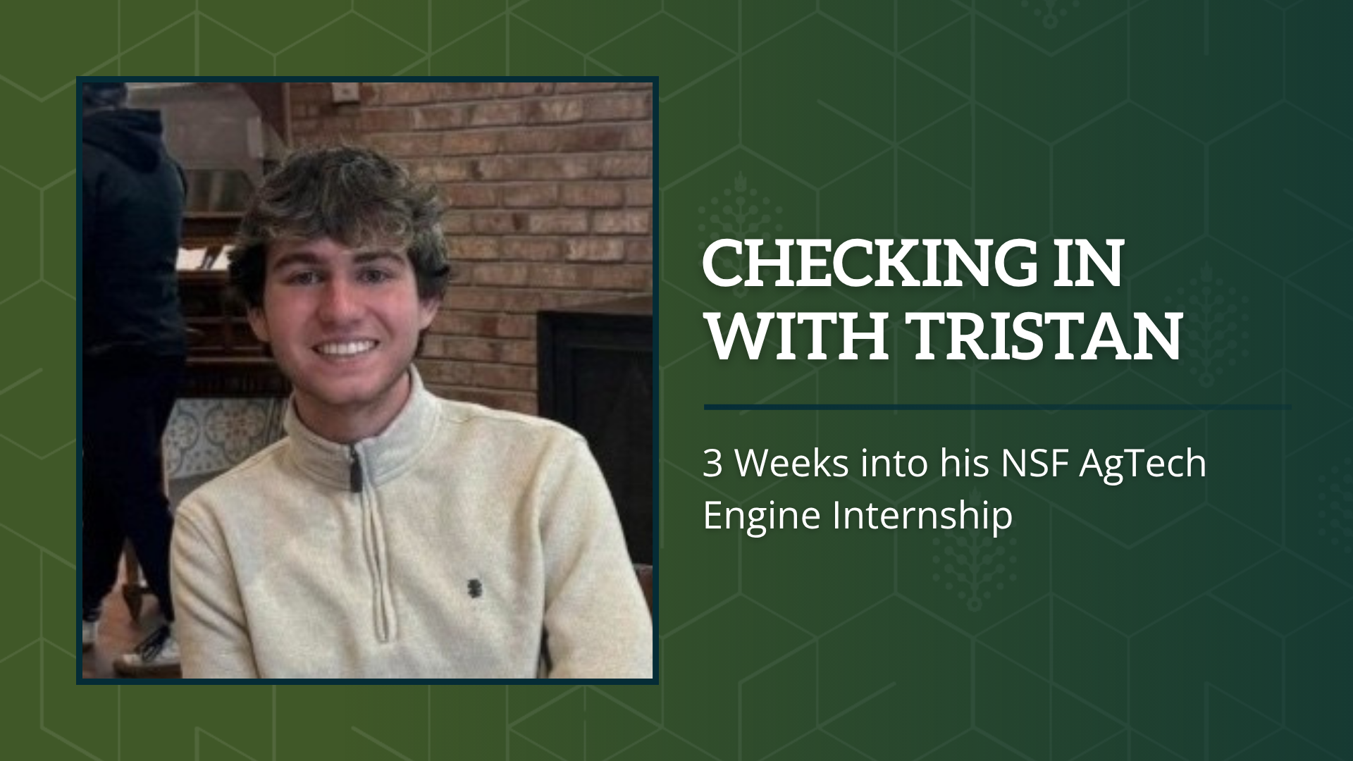 Article Graphics (1)